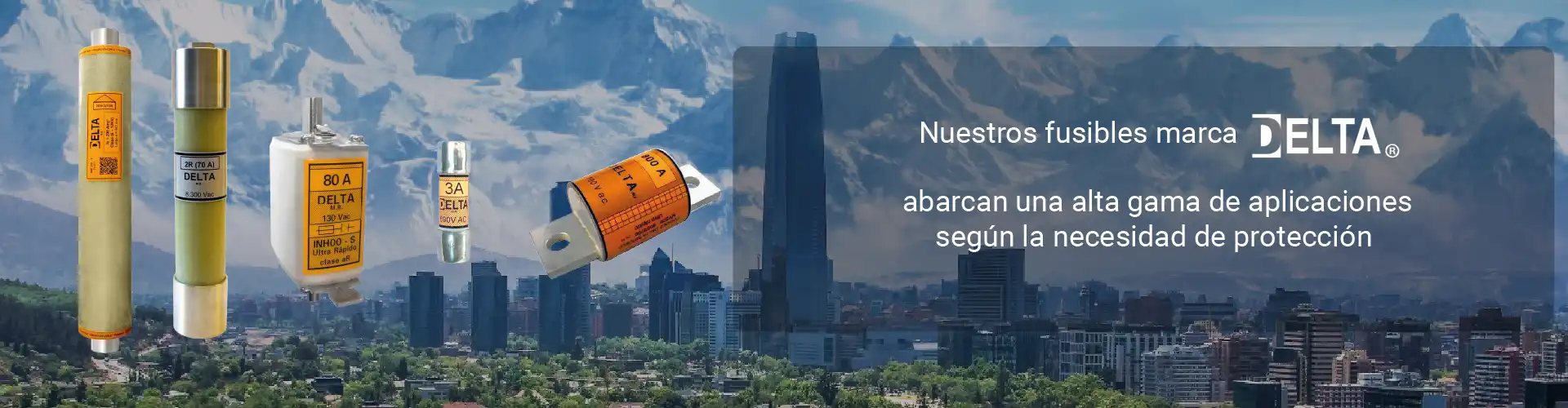 slide4_009